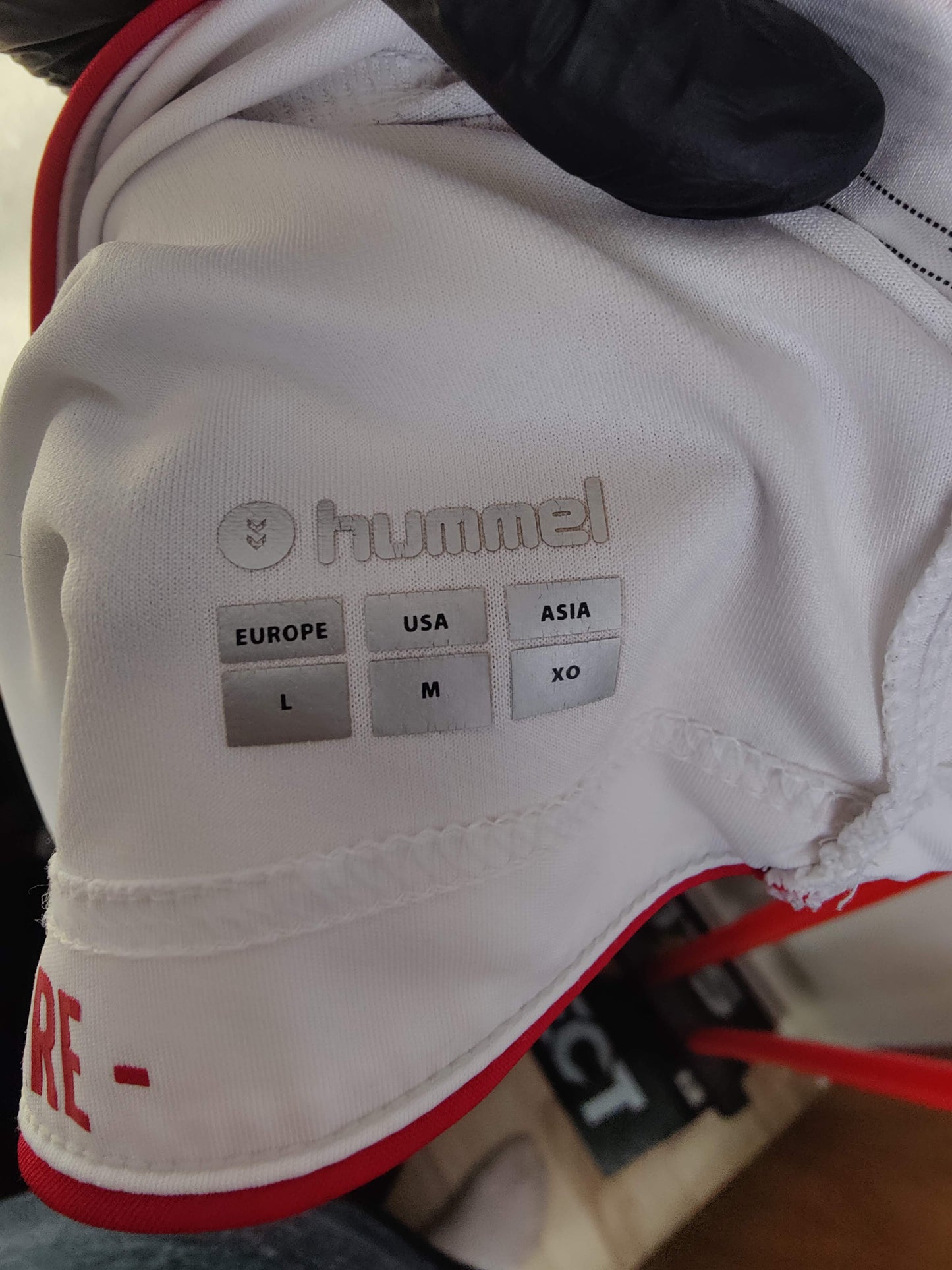 Pione Sisto Danmark VM 2018 Udebanetrøje Langærmet – Str. L